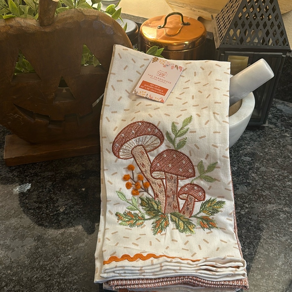 3 🍄‍🟫 The Farmhouse Rachel Ashwell Shabby Chic Mushroom Autumn Fall Towels